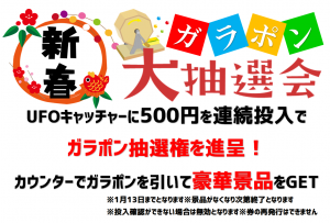 １月ガラポン