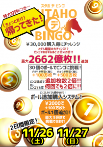 BINGO11月